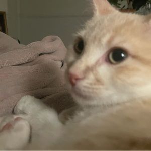 Meet your Posher, Subl1m3